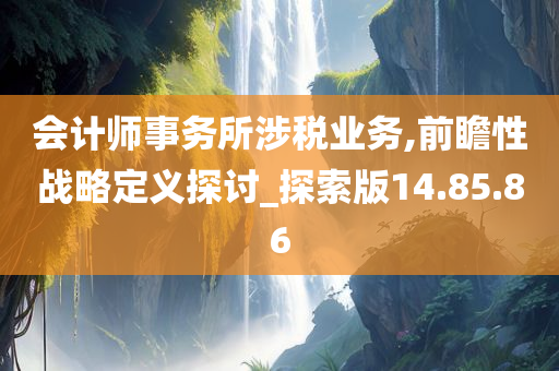 会计师事务所涉税业务,前瞻性战略定义探讨_探索版14.85.86