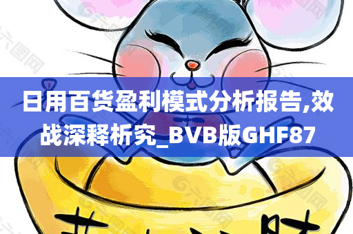 日用百货盈利模式分析报告,效战深释析究_BVB版GHF87