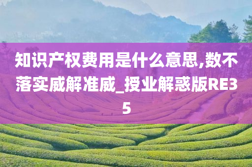 知识产权费用是什么意思,数不落实威解准威_授业解惑版RE35