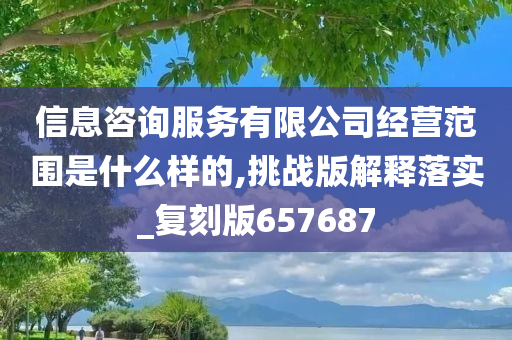 信息咨询服务有限公司经营范围是什么样的,挑战版解释落实_复刻版657687