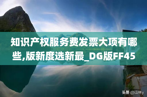 知识产权服务费发票大项有哪些,版新度选新最_DG版FF45