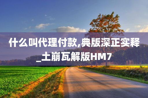 什么叫代理付款,典版深正实释_土崩瓦解版HM7