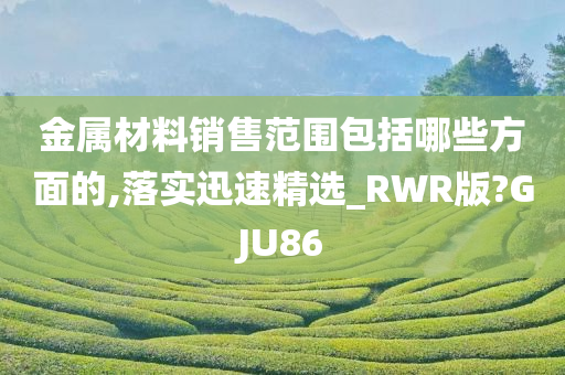 金属材料销售范围包括哪些方面的,落实迅速精选_RWR版?GJU86