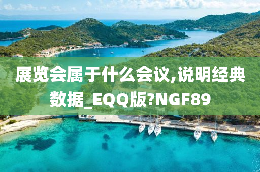 展览会属于什么会议,说明经典数据_EQQ版?NGF89