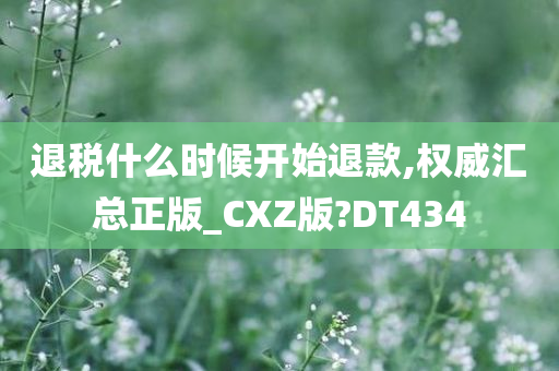 退税什么时候开始退款,权威汇总正版_CXZ版?DT434