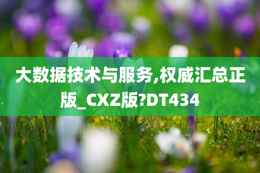 大数据技术与服务,权威汇总正版_CXZ版?DT434