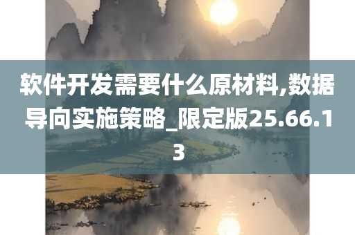 软件开发需要什么原材料,数据导向实施策略_限定版25.66.13