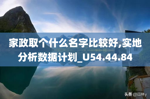 家政取个什么名字比较好,实地分析数据计划_U54.44.84