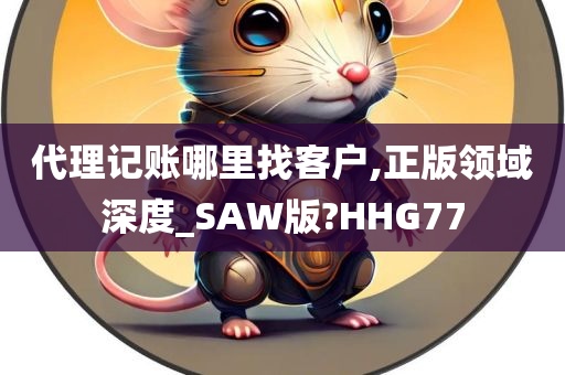 代理记账哪里找客户,正版领域深度_SAW版?HHG77