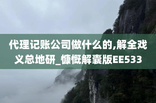 代理记账公司做什么的,解全戏义总地研_慷慨解囊版EE533