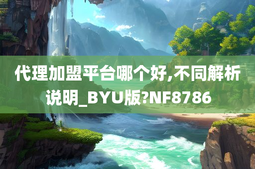 代理加盟平台哪个好,不同解析说明_BYU版?NF8786