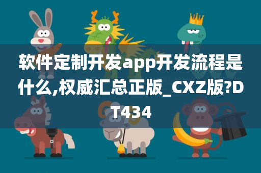 软件定制开发app开发流程是什么,权威汇总正版_CXZ版?DT434