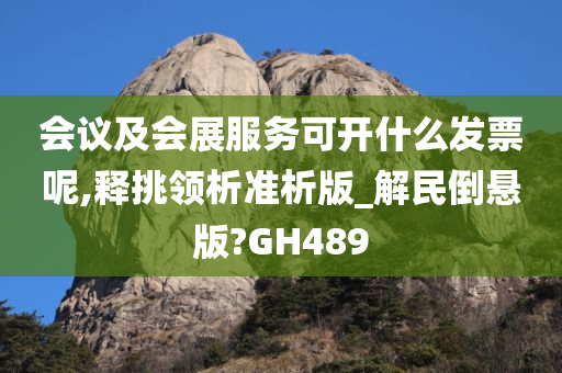 会议及会展服务可开什么发票呢,释挑领析准析版_解民倒悬版?GH489