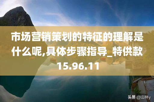 市场营销策划的特征的理解是什么呢,具体步骤指导_特供款15.96.11