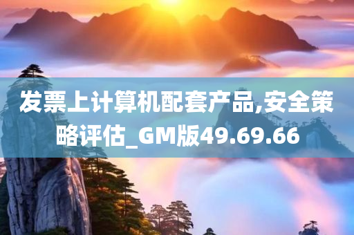 发票上计算机配套产品,安全策略评估_GM版49.69.66