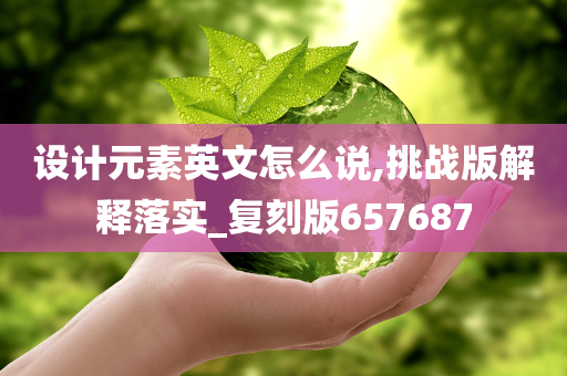 设计元素英文怎么说,挑战版解释落实_复刻版657687