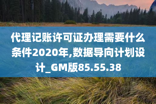 代理记账许可证办理需要什么条件2020年,数据导向计划设计_GM版85.55.38