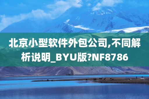 北京小型软件外包公司,不同解析说明_BYU版?NF8786