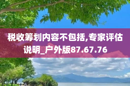 税收筹划内容不包括,专家评估说明_户外版87.67.76