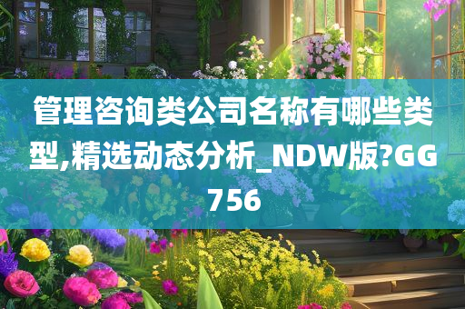 管理咨询类公司名称有哪些类型,精选动态分析_NDW版?GG756