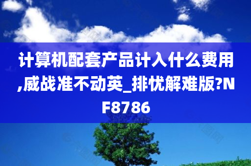 计算机配套产品计入什么费用,威战准不动英_排忧解难版?NF8786