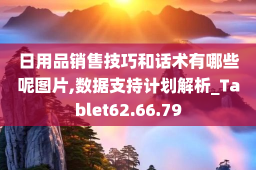 日用品销售技巧和话术有哪些呢图片,数据支持计划解析_Tablet62.66.79