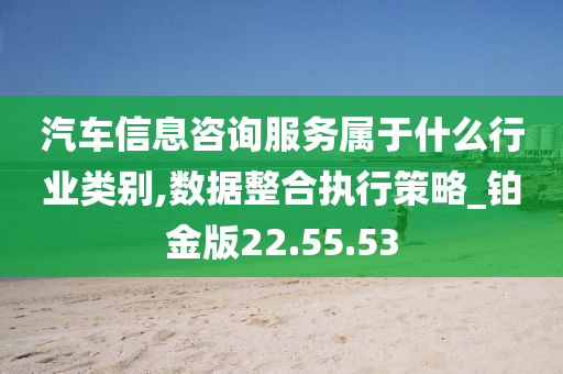 汽车信息咨询服务属于什么行业类别,数据整合执行策略_铂金版22.55.53