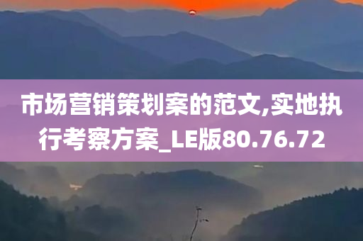 市场营销策划案的范文,实地执行考察方案_LE版80.76.72