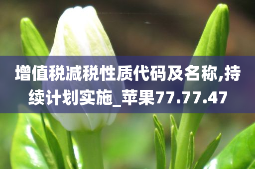 增值税减税性质代码及名称,持续计划实施_苹果77.77.47