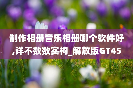 制作相册音乐相册哪个软件好,详不数数实构_解放版GT45