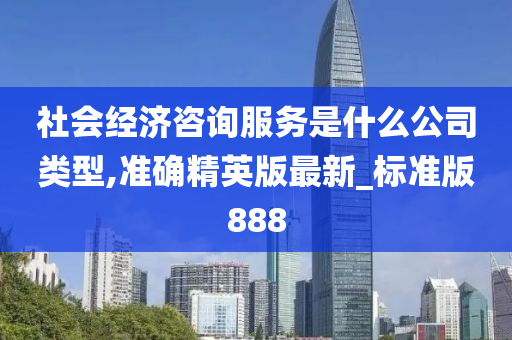 社会经济咨询服务是什么公司类型,准确精英版最新_标准版888