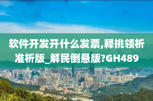 软件开发开什么发票,释挑领析准析版_解民倒悬版?GH489