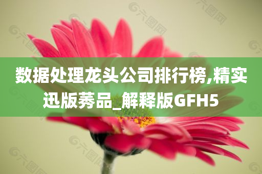 数据处理龙头公司排行榜,精实迅版莠品_解释版GFH5