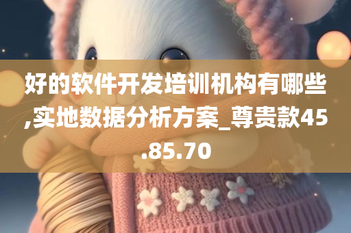 好的软件开发培训机构有哪些,实地数据分析方案_尊贵款45.85.70