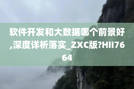 软件开发和大数据哪个前景好,深度详析落实_ZXC版?HII7664