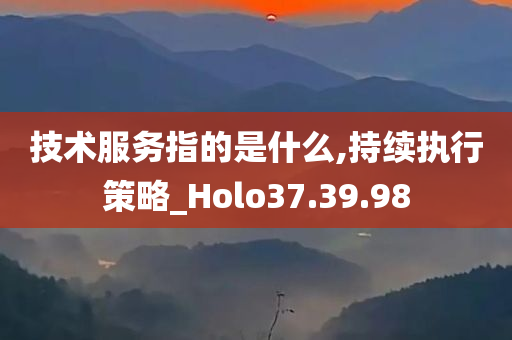 技术服务指的是什么,持续执行策略_Holo37.39.98