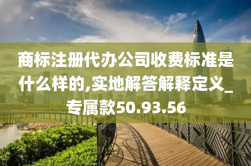 商标注册代办公司收费标准是什么样的,实地解答解释定义_专属款50.93.56