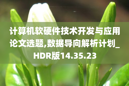 计算机软硬件技术开发与应用论文选题,数据导向解析计划_HDR版14.35.23