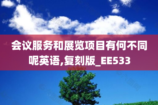 会议服务和展览项目有何不同呢英语,复刻版_EE533