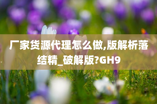 厂家货源代理怎么做,版解析落结精_破解版?GH9