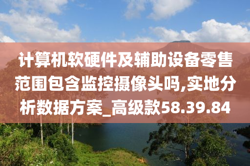 计算机软硬件及辅助设备零售范围包含监控摄像头吗,实地分析数据方案_高级款58.39.84