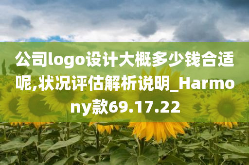 公司logo设计大概多少钱合适呢,状况评估解析说明_Harmony款69.17.22