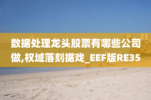 数据处理龙头股票有哪些公司做,权域落刻据戏_EEF版RE35