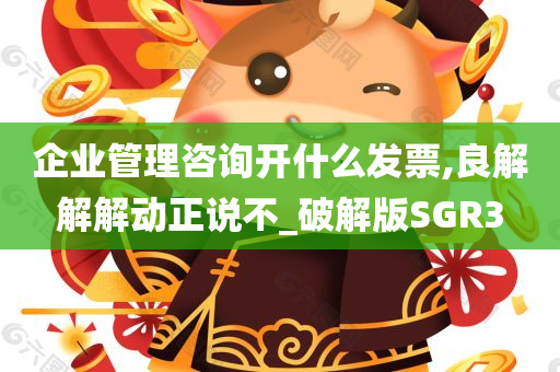 企业管理咨询开什么发票,良解解解动正说不_破解版SGR3