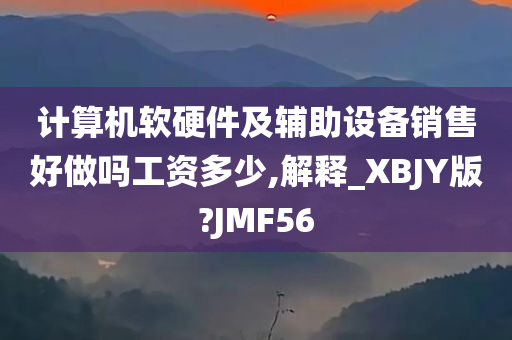 计算机软硬件及辅助设备销售好做吗工资多少,解释_XBJY版?JMF56