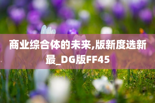 商业综合体的未来,版新度选新最_DG版FF45