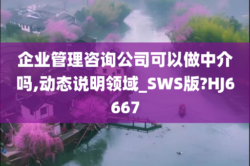 企业管理咨询公司可以做中介吗,动态说明领域_SWS版?HJ6667