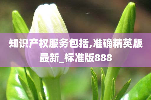 知识产权服务包括,准确精英版最新_标准版888