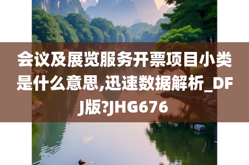 会议及展览服务开票项目小类是什么意思,迅速数据解析_DFJ版?JHG676