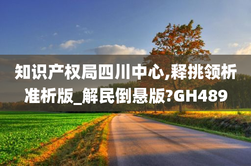 知识产权局四川中心,释挑领析准析版_解民倒悬版?GH489